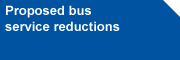NY Education Transport Website